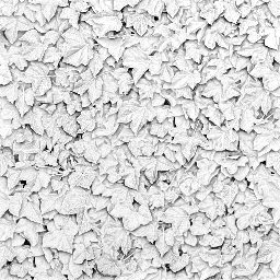 Ivy_LibreShot_2K_Occlusion.png