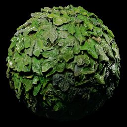 Ivy_LibreShot_2K_Preview.png