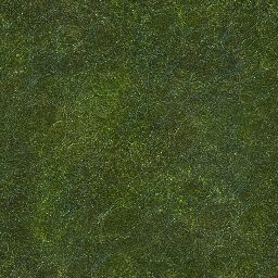 Reptile-pxhere_2K_Diffuse.png