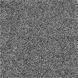 Photo_carpet_01.jpg
