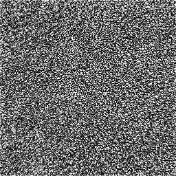 Photo_carpet_02.jpg