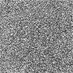 Photo_carpet_04.jpg