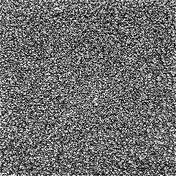 Photo_carpet_05.jpg