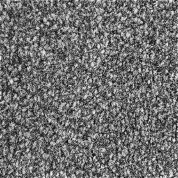 Photo_carpet_07.jpg