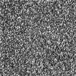 Photo_carpet_08.jpg
