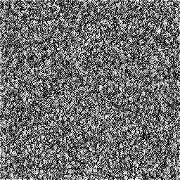 Photo_carpet_09.jpg