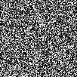 Photo_carpet_10.jpg