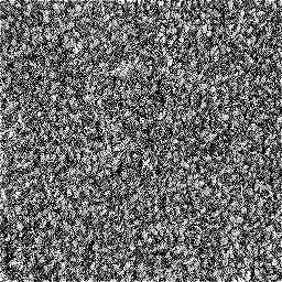 Photo_carpet_11.jpg