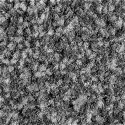 Photo_carpet_16.jpg