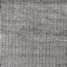 Photo_carpet_under_01.jpg