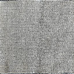 Photo_carpet_under_02.jpg