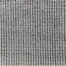 Photo_carpet_under_03.jpg