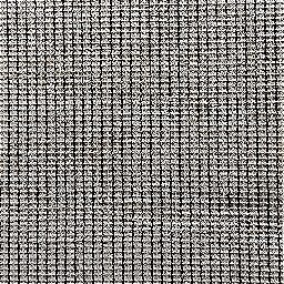 Photo_carpet_under_04.jpg