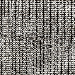 Photo_carpet_under_05.jpg