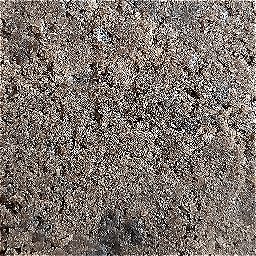 Photo_chocolate_cake_20.jpg