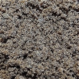 Photo_chocolate_cake_32.jpg