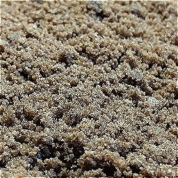 Photo_chocolate_cake_36.jpg