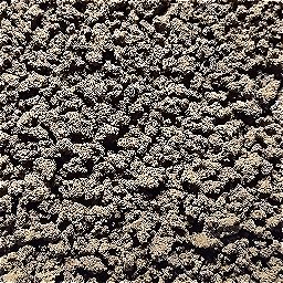 Photo_coffee_grounds_10.jpg