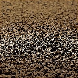 Photo_coffee_grounds_16.jpg