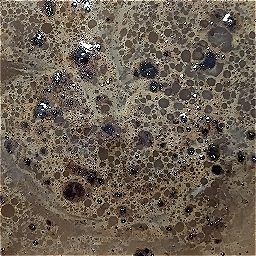 Photo_coffee_grounds_22.jpg