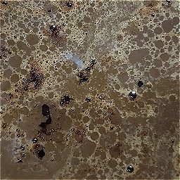 Photo_coffee_grounds_25.jpg