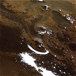 Photo_coffee_grounds_32.jpg