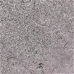 Photo_concrete_slab_09.jpg