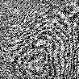 Photo_cotton_shirt_02.jpg