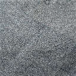 Photo_denim_jeans_18.jpg