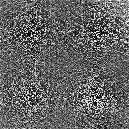 Photo_foil_02.jpg
