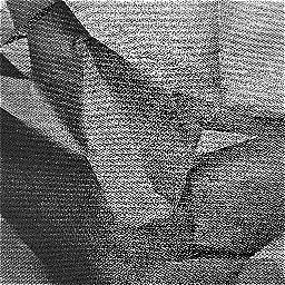 Photo_foil_09.jpg