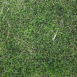 Photo_grass_02.jpg