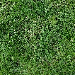 Photo_grass_03.jpg