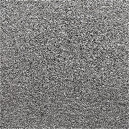 Photo_roof_felt_03.jpg