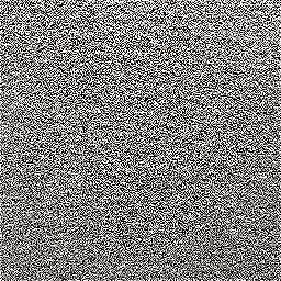 Photo_roof_felt_04.jpg