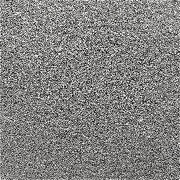 Photo_roof_felt_05.jpg