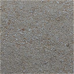 Photo_sawdust_06.jpg