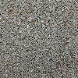 Photo_sawdust_09.jpg