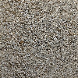Photo_sawdust_10.jpg