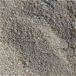 Photo_sawdust_15.jpg