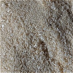 Photo_sawdust_16.jpg