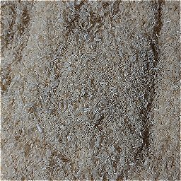 Photo_sawdust_20.jpg