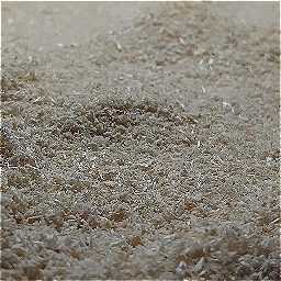 Photo_sawdust_27.jpg