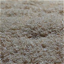 Photo_sawdust_31.jpg
