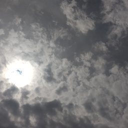 Photo_sky_noon_17.jpg