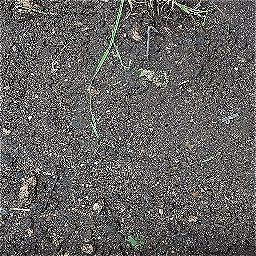 Photo_soil_01.jpg