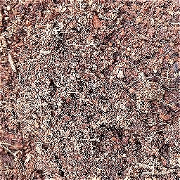 Photo_soil_02.jpg