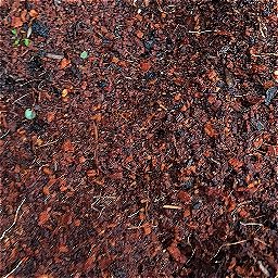Photo_soil_03.jpg
