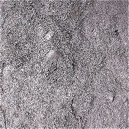 Photo_soil_04.jpg