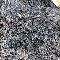 Photo_soil_05.jpg